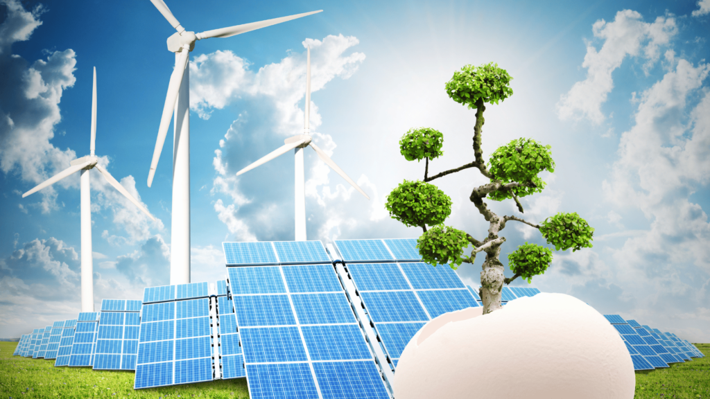 Commitment to Sustainability